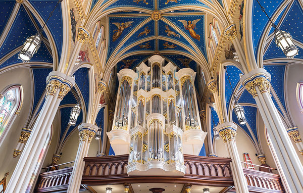 Murdy Family Organ dedicated at Basilica of Sacred Heart